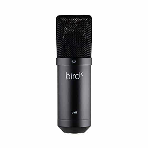 Bird UM1 Noir - Microphone USB Cardioïde à Condensateur PC et Mac pour Broadcast et Enregistrement Streaming, Podcasting, Conférence, Home Studio Mao, Voix Off